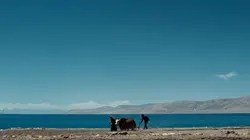 Sur les contreforts de l'Himalaya