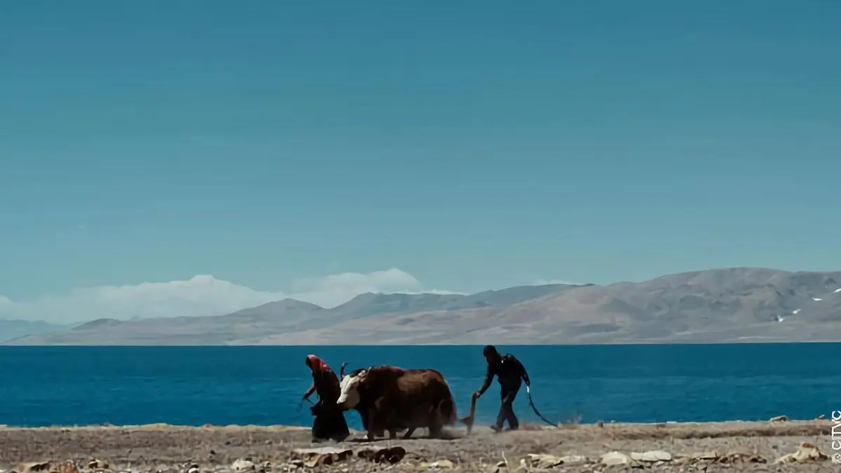 Sur les contreforts de l'Himalaya