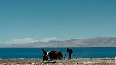 Sur les contreforts de l'Himalaya S01E01 La terre nourricière
