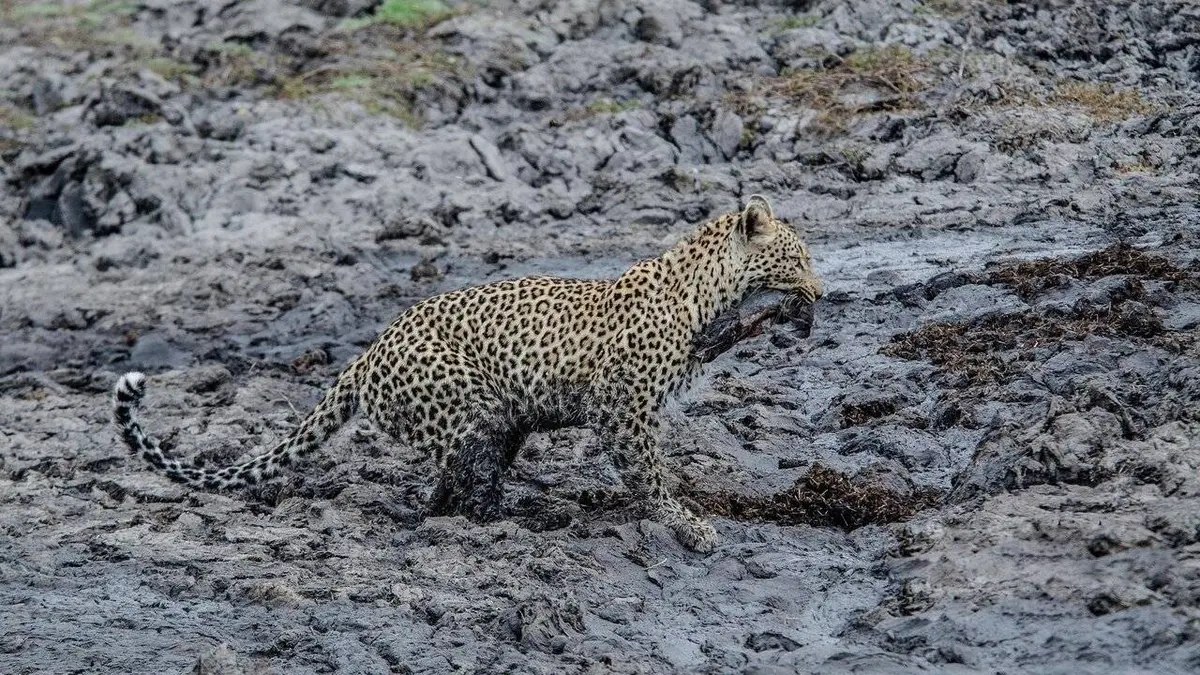 Sur les rives de la Sand