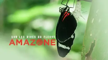 Prédateurs de la jungle