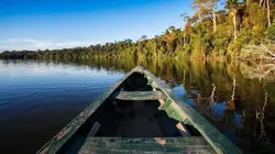 Sur les rives du fleuve Amazone