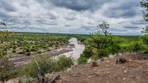 Sur les rives du Limpopo