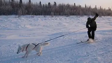 La route de la glace