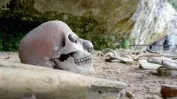 Visuel de Sur les sentiers de l'Histoire