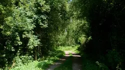 Sur les sentiers de l'Histoire