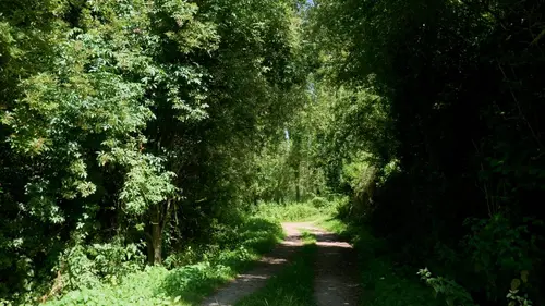 Épisodes de Sur les sentiers de l'Histoire