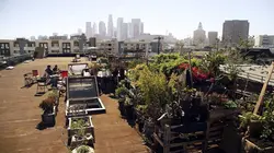 Sur les toits des villes S02E00 Los Angeles