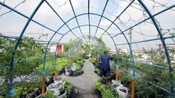 Sur les toits des villes S02E02 Bangkok