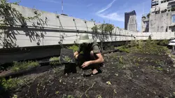 Sur les toits des villes S02E02 Bangkok