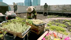 Sur les toits des villes S01E05 Buenos Aires