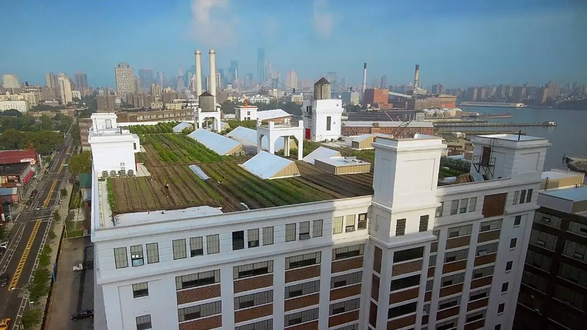 Sur les toits des villes S01E02 New York