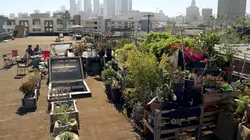 Sur les toits des villes S02E00 Los Angeles