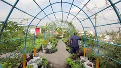 Sur les toits des villes S02E02 Bangkok