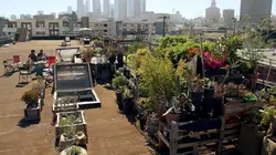 Sur les toits des villes S02E00 Los Angeles