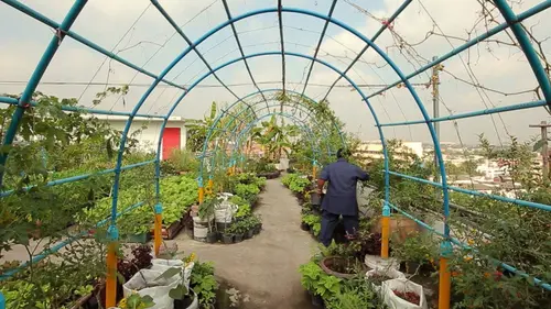 Sur les toits des villes S02E02 Bangkok