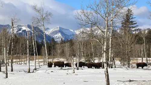 Sur les toits du monde S01E05 Les Rocheuses