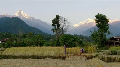 Sur les toits du monde S01E03 Les Alpes