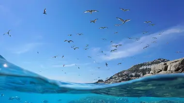 La Méditerranée, mer mythique