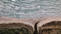 Sur les traces de l'Odyssée Une oeuvre énigmatique