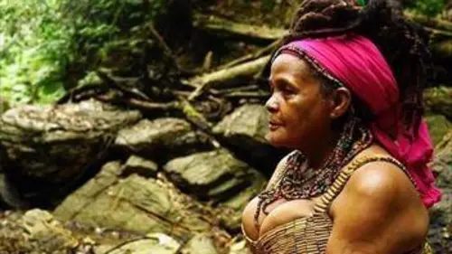 Sur les traces de Papa Bois, à Trinidad et Tobago