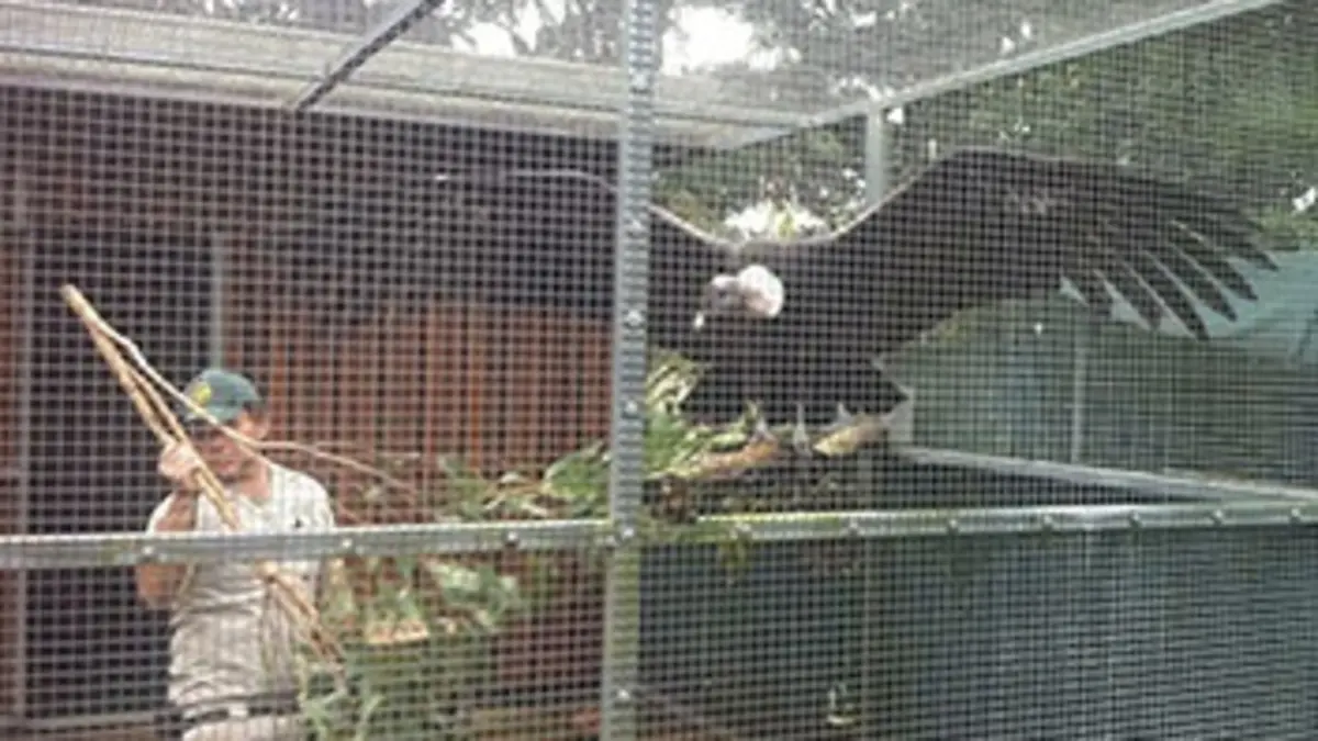 Sur les traces de Steve Irwin E25