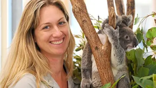 Sur les traces de Steve Irwin E01