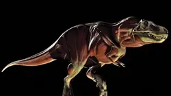 Visuel de Sur les traces des dinosaures