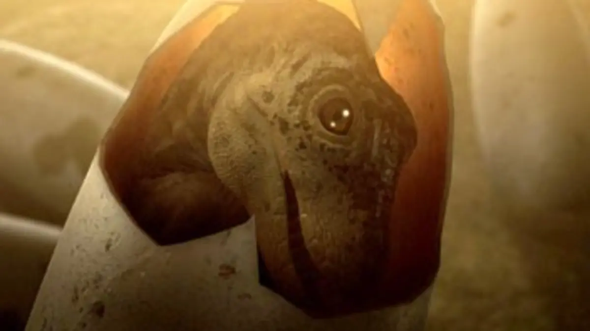 Sur les traces des dinosaures S01E03 Sur la défensive