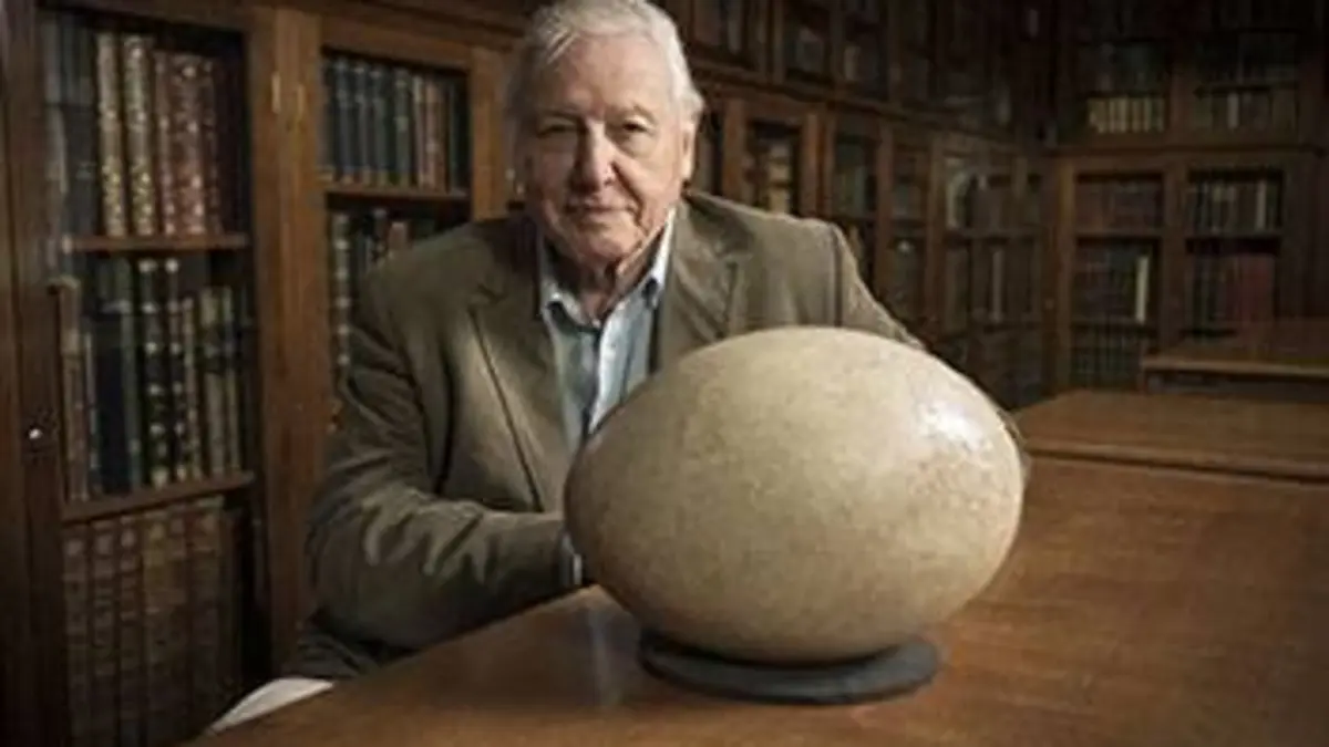 Sur les traces des oiseaux coureurs