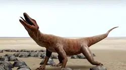 Visuel de Sur les traces des premiers sauriens