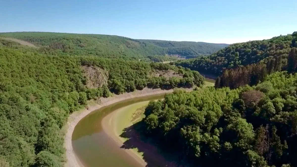 Sur les traces du sauvage : La région de l'Eifel