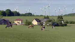 Sur les traces du sauvage : La région de l'Eifel
