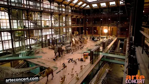 Sur mesure Bach Evolution