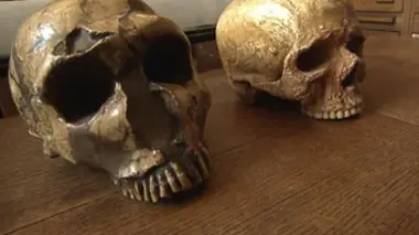 L'homme de Neandertal