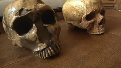 Sur nos traces E01 L'homme de Neandertal