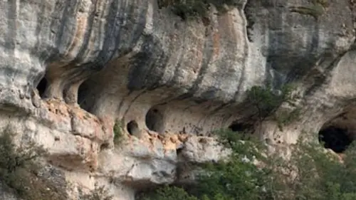 Sur nos traces E02 Homo sapiens : l'homme moderne