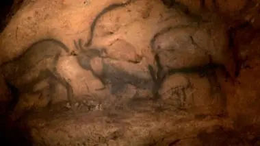 Homo sapiens : l'artiste