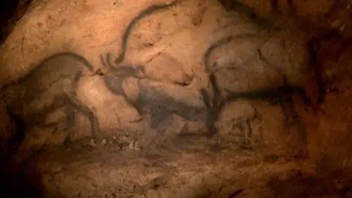 Sur nos traces E04 Homo sapiens : l'artiste