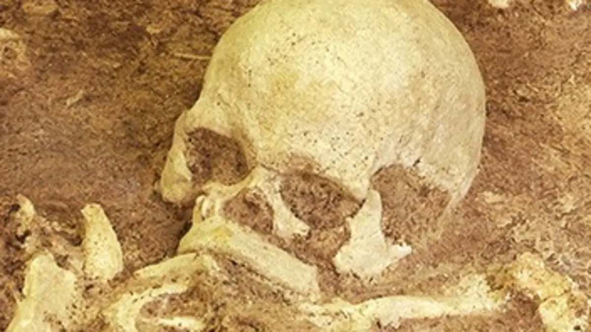 Sur nos traces S02E00 Au temps du Néolithique : l'homme de pouvoir