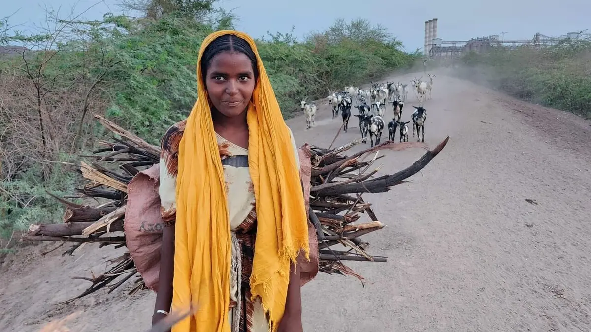 Surexploitée/Surpeuplée : La planète s'épuise
