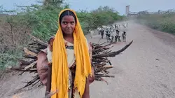 Surexploitée/Surpeuplée : La planète s'épuise