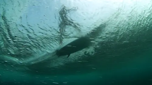 Surfeuses et rebelles