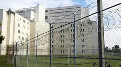 Surviving Jeffrey Epstein