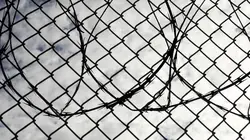 Surviving Jeffrey Epstein