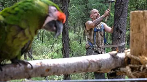 Survivre à la nature S01E05 Pas de repos