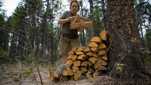 Survivre à la nature