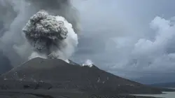 Survivre aux catastrophes : les stratégies de la nature
