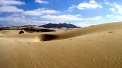 Visuel de Survivre dans le désert