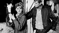 Visuel de Susan Slade